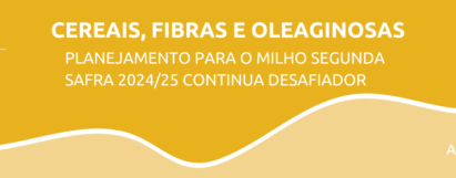 Planejamento para o milho segunda safra 2024/25 continua desafiador