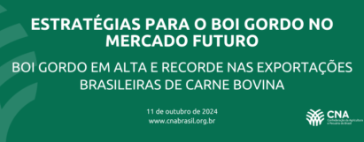 Boi gordo em alta e recorde nas exportações brasileiras de carne bovina