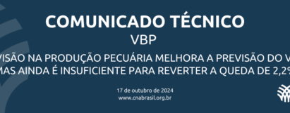 Revisão na produção pecuária melhora a previsão do VBP, mas ainda é insuficiente para reverter a queda de 2,2%