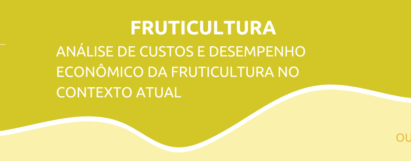 Análise de custos e desempenho econômico da fruticultura no contexto atual