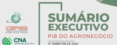 Sumário Executivo PIB do Agronegócio - 4º Trimestre de 2024