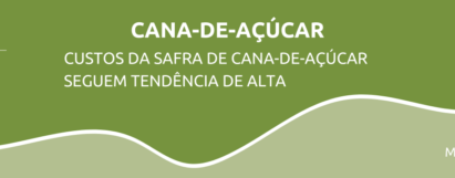 Custos da safra de cana-de-açúcar seguem tendência de alta
