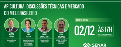 Live - Apicultura: Discussões técnicas e mercado do mel Brasileiro