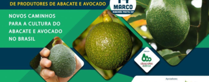2º Encontro Brasileiro de Produtores de Abacate e Avocado
