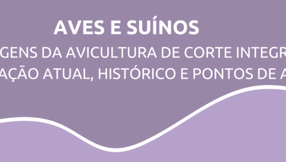 MARGENS DA AVICULTURA DE CORTE INTEGRADA: SITUAÇÃO ATUAL, HISTÓRICO E PONTOS DE ATENÇÃO