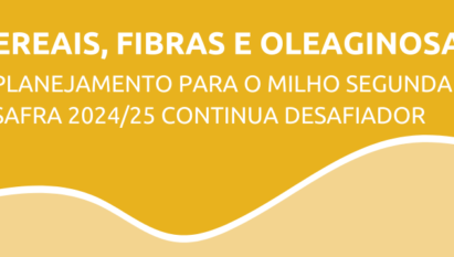 Planejamento para o milho segunda safra 2024/25 continua desafiador