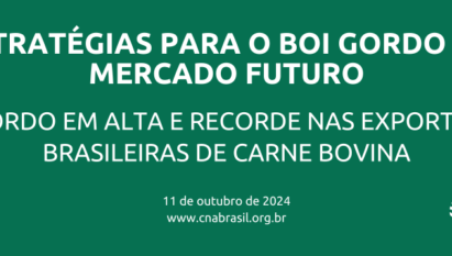 Boi gordo em alta e recorde nas exportações brasileiras de carne bovina