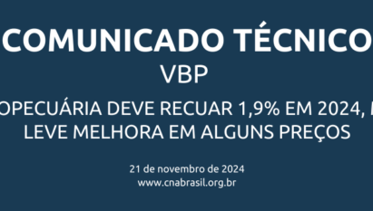 VBP da agropecuária deve recuar 1,9% em 2024, mesmo com leve melhora em alguns preços