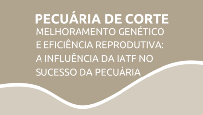 Melhoramento genético e eficiência reprodutiva: a influência da IATF no sucesso da pecuária