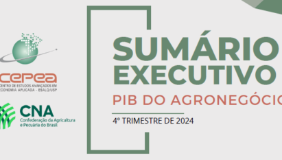 Sumário Executivo PIB do Agronegócio - 4º Trimestre de 2024