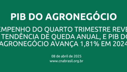 Desempenho do quarto trimestre reverte a tendência de queda anual, e PIB do Agronegócio avança 1,81% em 2024