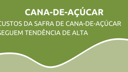 Custos da safra de cana-de-açúcar seguem tendência de alta