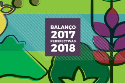 BALANÇO 2017 E PERSPECTIVAS 2018