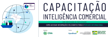 Capacitação - Inteligência Comercial