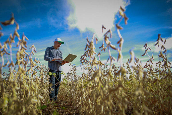 Faculdade CNA abre inscrições para dois novos cursos de pós-graduação | Confederação da Agricultura e Pecuária do Brasil (CNA)