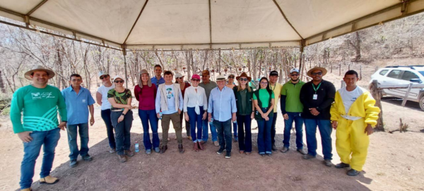 Dia de Campo destaca assistência técnica e gerencial empreendida