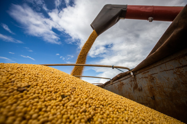 CNA apresenta ações prioritárias para produção de grãos