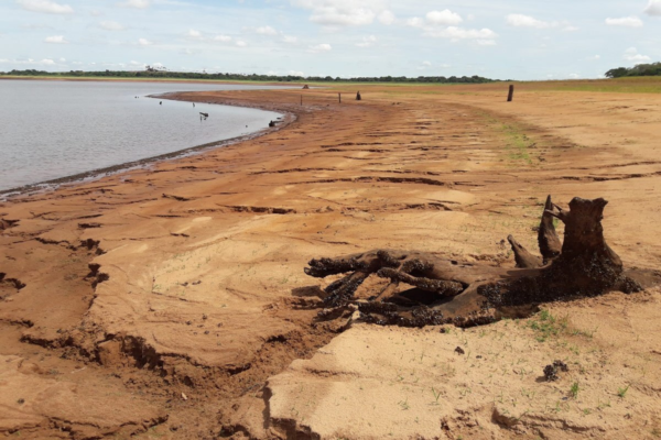 Uso da água no campo exige autorização; veja o que fazer para ficar em dia  com a Lei