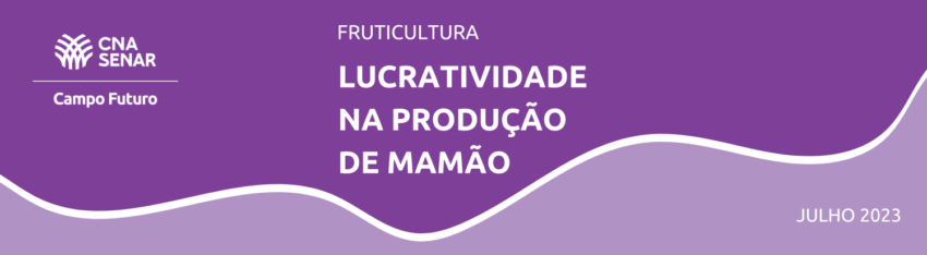 COMUNICADO TECNICO 19