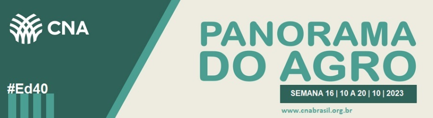 IMAGEM PA 16 A 20 DE OUTUBRO 1