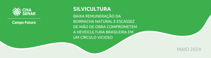 COMUNICADO TECNICO 42
