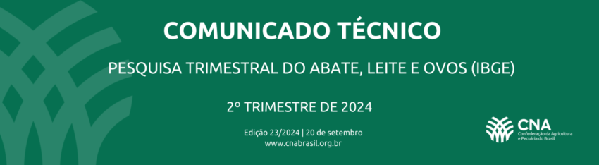 COMUNICADO TECNICO 31