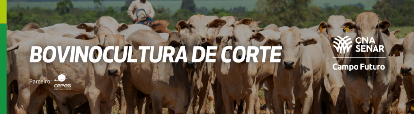 Bovinocultura