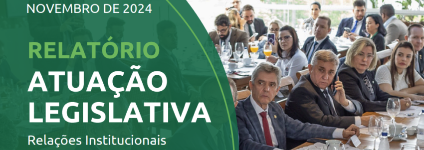 Cabeca ARI novembro 2024