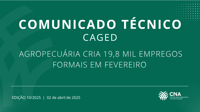 Copia de Comunicado Tecnico 10
