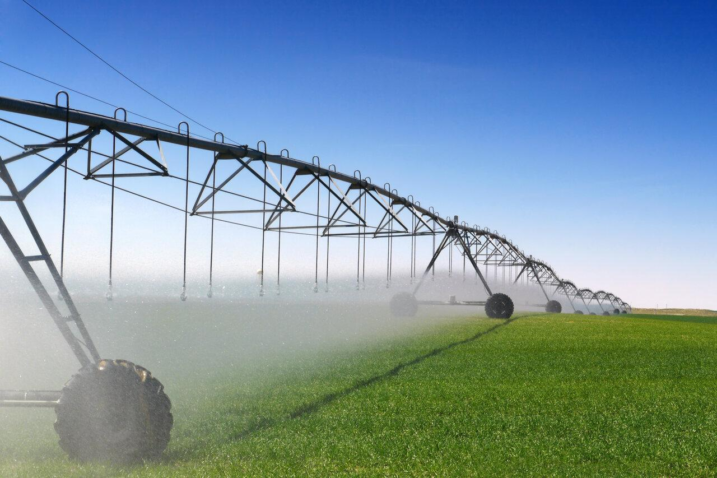 Blog Agri Q Agricultura irrigada Creditos Shutterstock