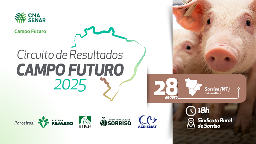 Banner Site Campo Futuro Sorriso MT