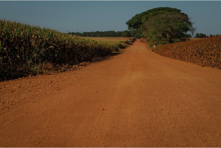 Estradas vicinais