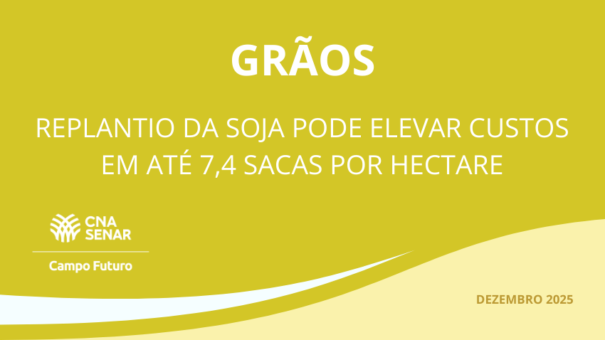 Graos DEZ 2025