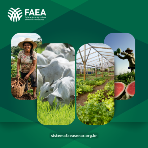 Capa Materia niver faea Site 1