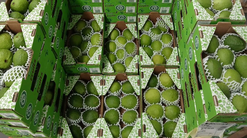 Goiaba