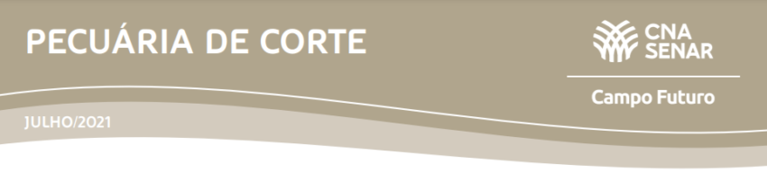 Pecuariadecorte percuaria camposfuturo 2021