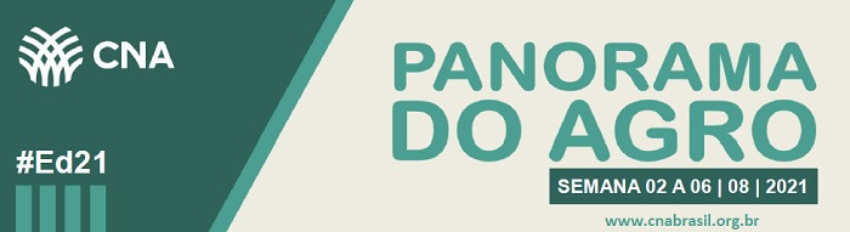 Banner Panorama do Agro 02 a 06 08