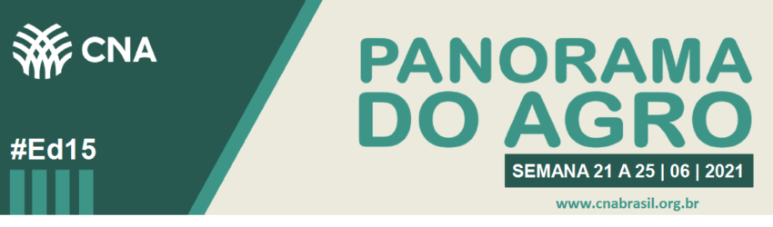 Panorama Agro21a25 06 2021 banner