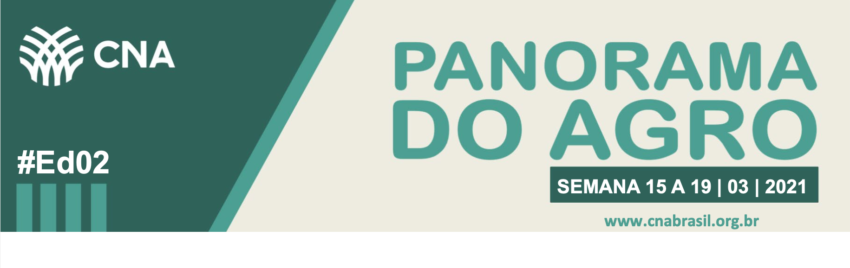 Banner panorama ed02
