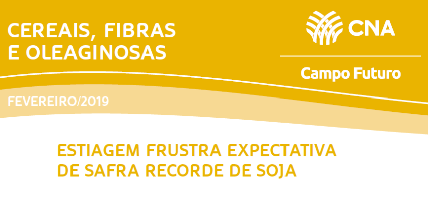 CFO Campo F