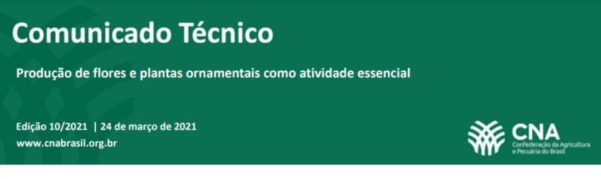 Ct flores plantas ornamentais atividadeessencial