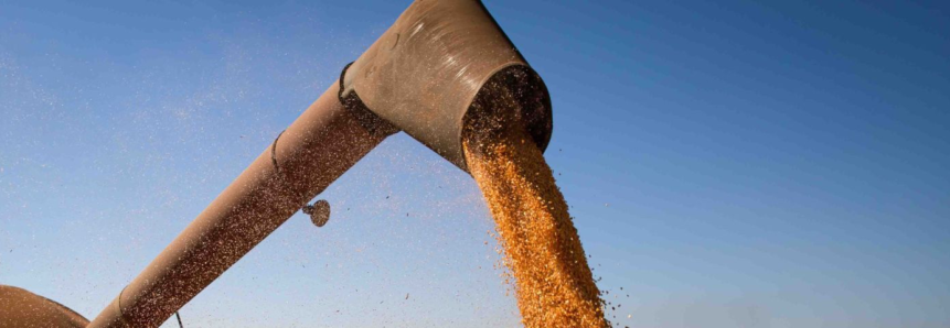 Projeto Campo Futuro levanta custos de produção de grãos em SC