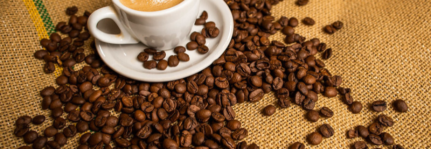 CNA abre inscrições para 2ª edição da rodada de negócios de cafés diferenciados