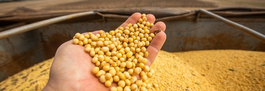 CNA orienta produtores sobre calendário de semeadura e vazio sanitário da soja