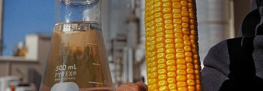 Milho invade as indústrias de produção de etanol