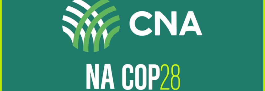 CNA leva posicionamento dos produtores rurais brasileiros à COP 28