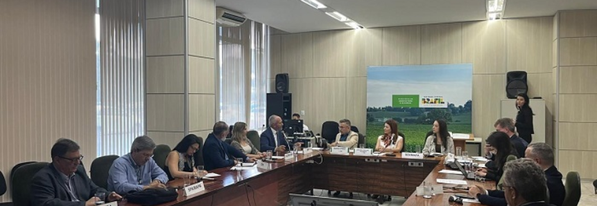 CNA participa de reunião da Câmara Setorial de Florestas Plantadas