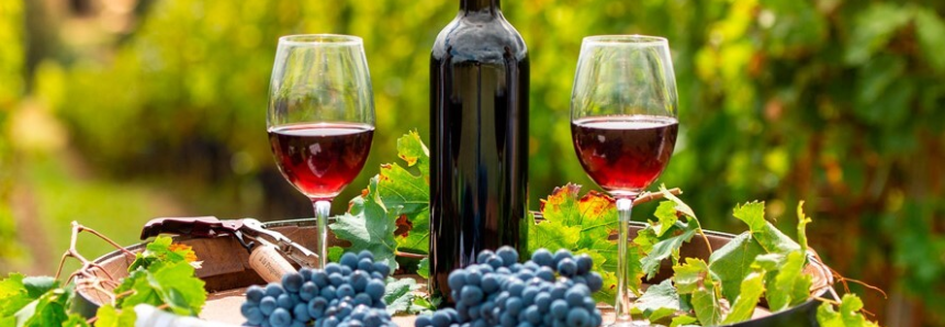 Profissionalização faz vinhos do Paraná ganharem destaque nacional