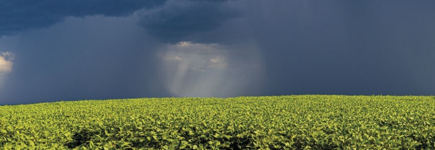 Produtores rurais afetados por adversidades climáticas podem renegociar dívidas