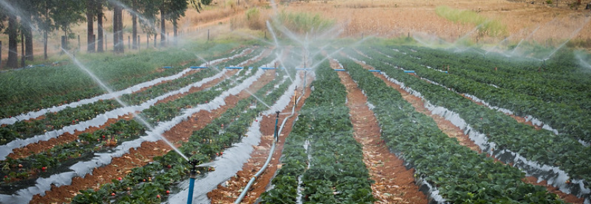 Especialistas analisam a importância da atuação do setor de irrigação nos comitês de bacia